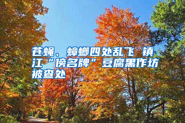 蒼蠅、蟑螂四處亂飛 鎮(zhèn)江“傍名牌”豆腐黑作坊被查處