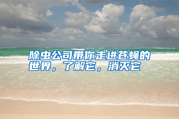 除蟲公司帶你走進蒼蠅的世界，了解它，消滅它