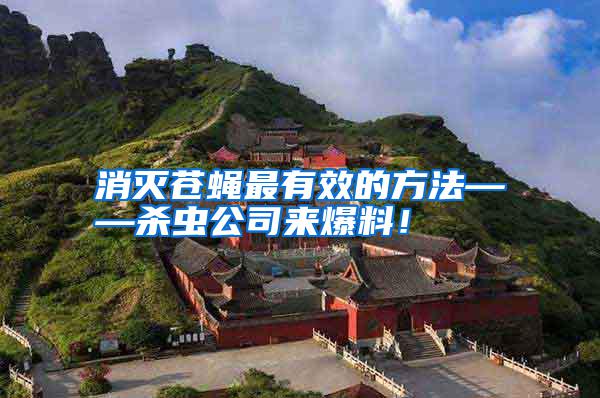 消滅蒼蠅最有效的方法——?dú)⑾x公司來(lái)爆料！