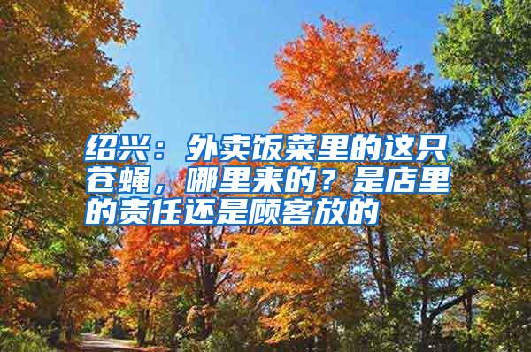 紹興：外賣(mài)飯菜里的這只蒼蠅，哪里來(lái)的？是店里的責(zé)任還是顧客放的