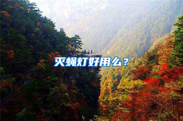 滅蠅燈好用么？