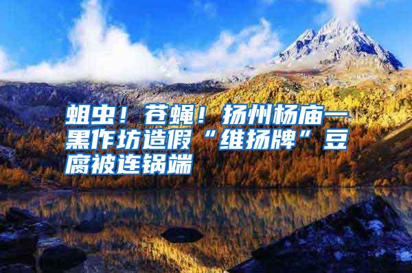 蛆蟲(chóng)!蒼蠅!揚(yáng)州楊廟一黑作坊造假“維揚(yáng)牌”豆腐被連鍋端