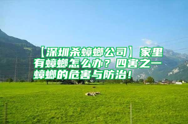 【深圳殺蟑螂公司】家里有蟑螂怎么辦?四害之一蟑螂的危害與防治!