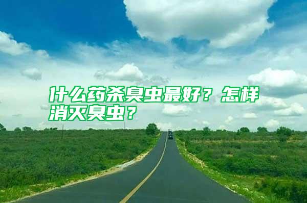 什么藥殺臭蟲最好?怎樣消滅臭蟲?
