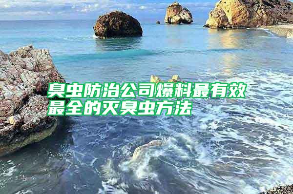 臭蟲(chóng)防治公司爆料最有效最全的滅臭蟲(chóng)方法