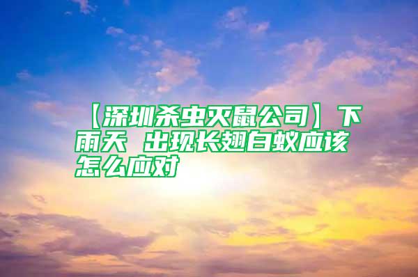【深圳殺蟲滅鼠公司】下雨天 出現(xiàn)長翅白蟻應(yīng)該怎么應(yīng)對