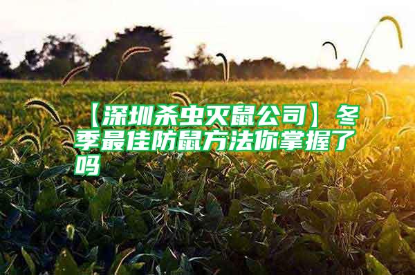 【深圳殺蟲滅鼠公司】冬季最佳防鼠方法你掌握了嗎