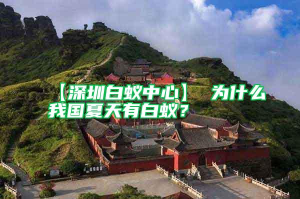 【深圳白蟻中心】 為什么我國(guó)夏天有白蟻？