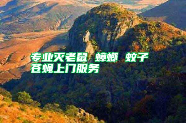 專業(yè)滅老鼠 蟑螂 蚊子 蒼蠅上門服務(wù)