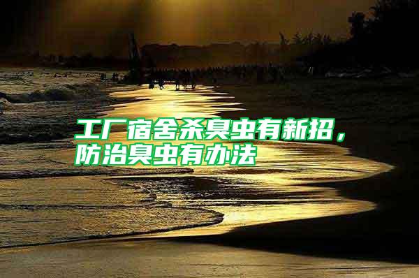 工廠宿舍殺臭蟲有新招，防治臭蟲有辦法
