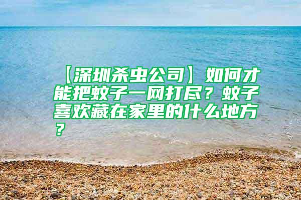 【深圳殺蟲公司】如何才能把蚊子一網(wǎng)打盡？蚊子喜歡藏在家里的什么地方？