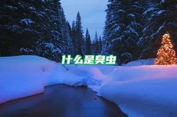 什么是臭蟲(chóng)