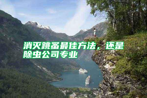 消滅跳蚤最佳方法，還是除蟲公司專業