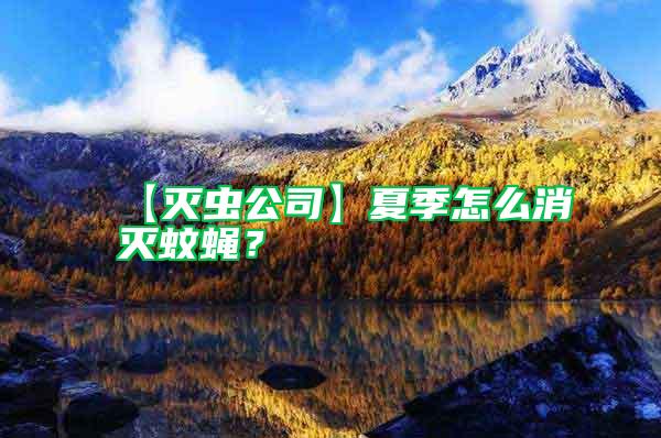 【滅蟲公司】夏季怎么消滅蚊蠅？