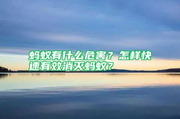 螞蟻有什么危害?怎樣快速有效消滅螞蟻?