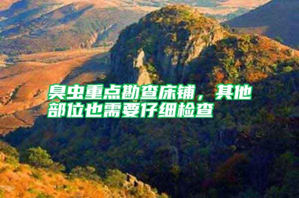 臭蟲重點勘查床鋪，其他部位也需要仔細檢查