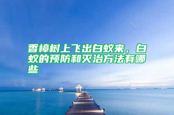 香樟樹上飛出白蟻來,白蟻的預防和滅治方法有哪些