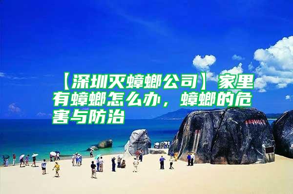 【深圳滅蟑螂公司】家里有蟑螂怎么辦，蟑螂的危害與防治