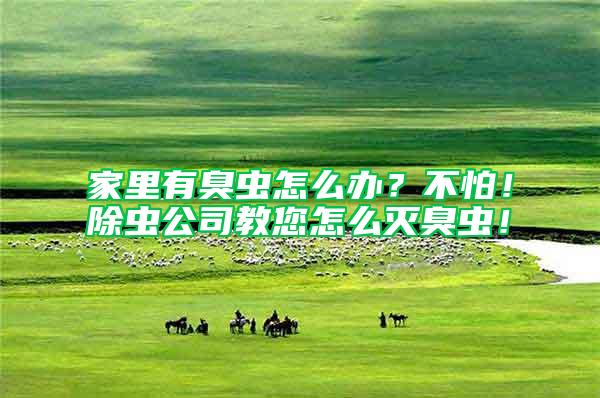 家里有臭蟲(chóng)怎么辦？不怕！除蟲(chóng)公司教您怎么滅臭蟲(chóng)！