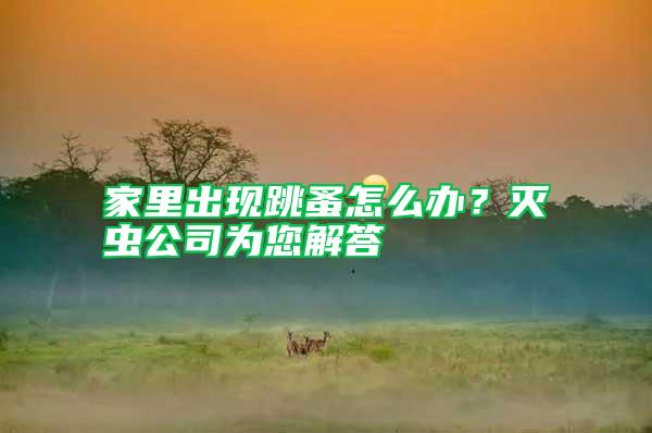 家里出現跳蚤怎么辦？滅蟲公司為您解答