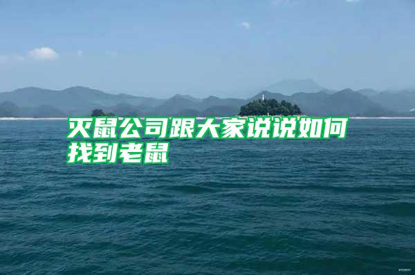 滅鼠公司跟大家說說如何找到老鼠