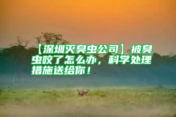 【深圳滅臭蟲公司】被臭蟲咬了怎么辦，科學處理措施送給你！