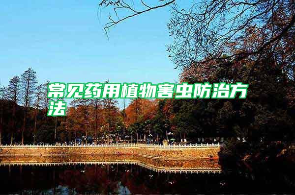 常見(jiàn)藥用植物害蟲(chóng)防治方法