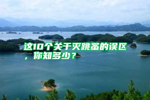 這10個關于滅跳蚤的誤區,你知多少?