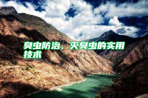 臭蟲防治，滅臭蟲的實用技術(shù)