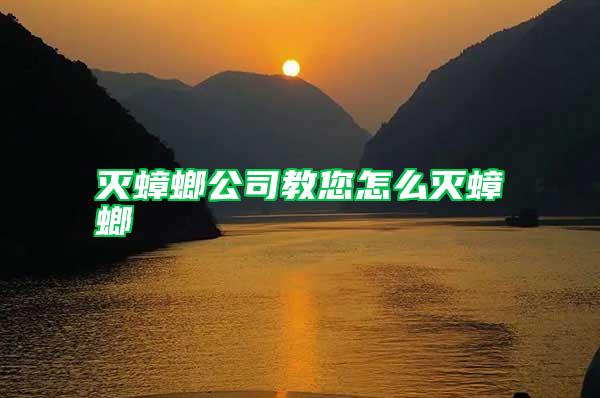 滅蟑螂公司教您怎么滅蟑螂