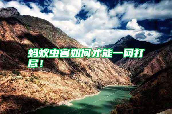 螞蟻蟲害如何才能一網打盡!