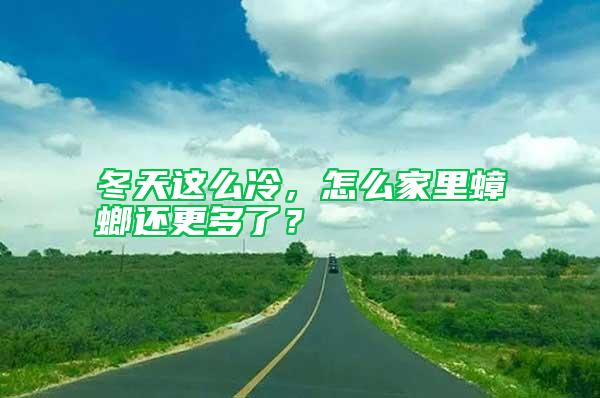 冬天這么冷，怎么家里蟑螂還更多了？