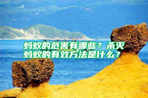 螞蟻的危害有哪些?殺滅螞蟻的有效方法是什么?