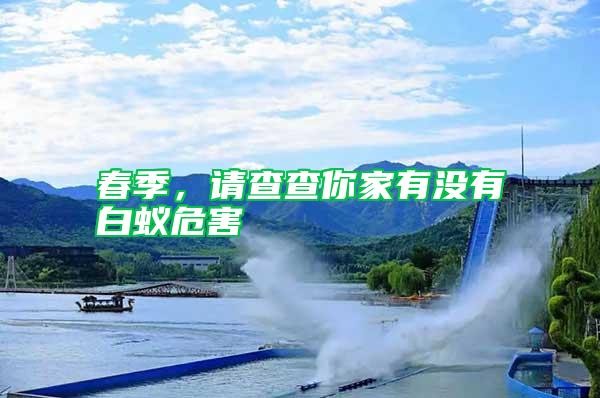 春季，請(qǐng)查查你家有沒(méi)有白蟻危害