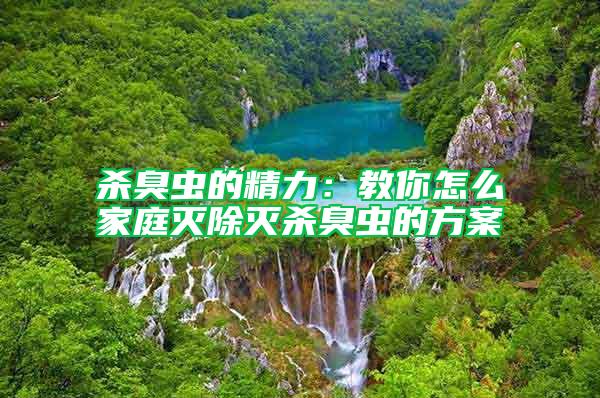殺臭蟲的精力:教你怎么家庭滅除滅殺臭蟲的方案
