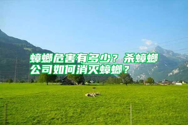 蟑螂危害有多少？殺蟑螂公司如何消滅蟑螂？