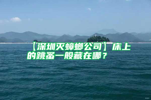 【深圳滅蟑螂公司】床上的跳蚤一般藏在哪？