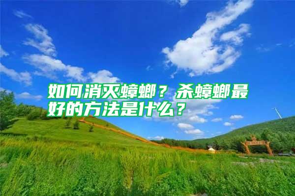 如何消滅蟑螂？殺蟑螂最好的方法是什么？