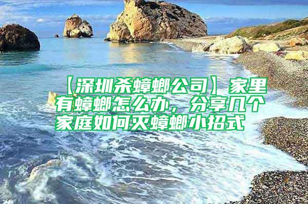 【深圳殺蟑螂公司】家里有蟑螂怎么辦，分享幾個家庭如何滅蟑螂小招式