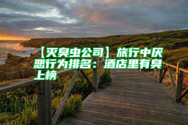 【滅臭蟲公司】旅行中厭惡行為排名:酒店里有臭上榜