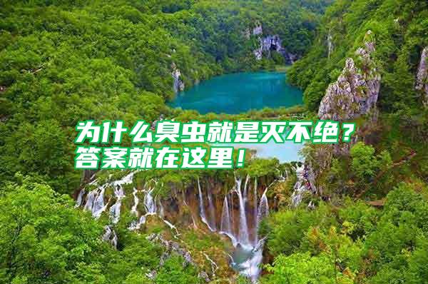 為什么臭蟲(chóng)就是滅不絕？答案就在這里！