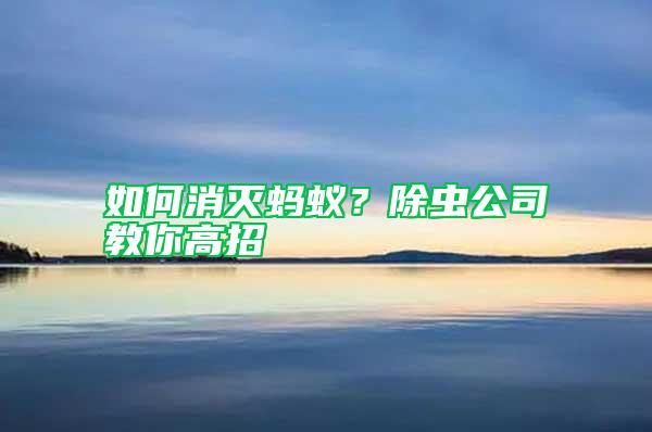 如何消滅螞蟻？除蟲公司教你高招