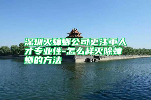 深圳滅蟑螂公司更注重人才專(zhuān)業(yè)性-怎么樣滅除蟑螂的方法