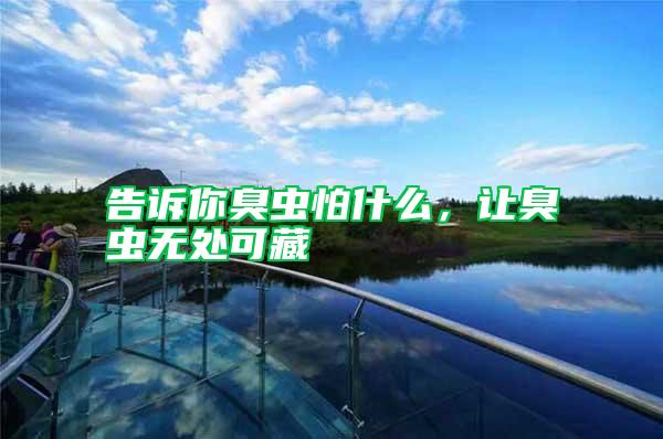 告訴你臭蟲怕什么，讓臭蟲無處可藏