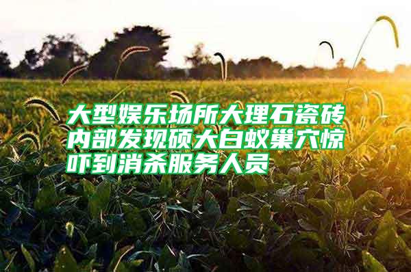 大型娛樂場(chǎng)所大理石瓷磚內(nèi)部發(fā)現(xiàn)碩大白蟻巢穴驚嚇到消殺服務(wù)人員