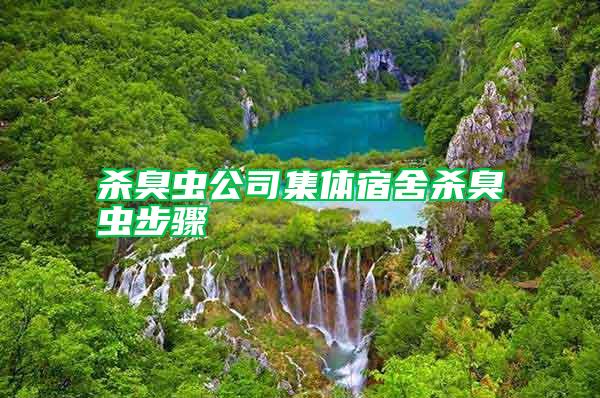 殺臭蟲(chóng)公司集體宿舍殺臭蟲(chóng)步驟