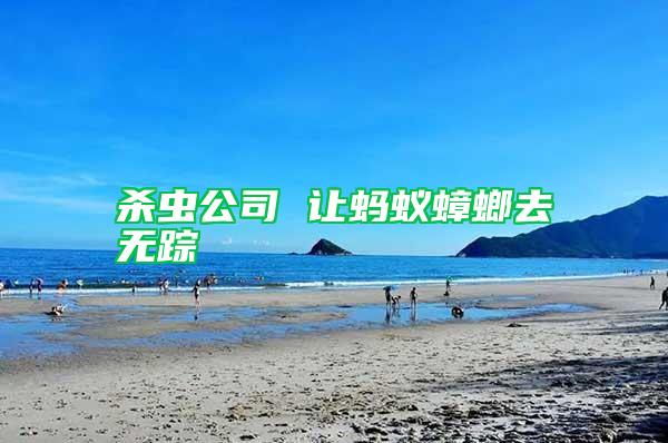 殺蟲(chóng)公司 讓螞蟻蟑螂去無(wú)蹤