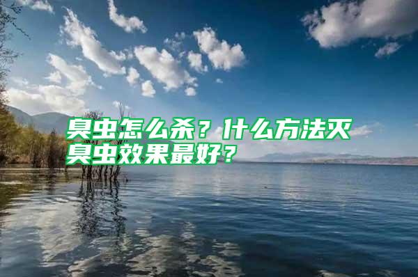 臭蟲怎么殺？什么方法滅臭蟲效果最好？