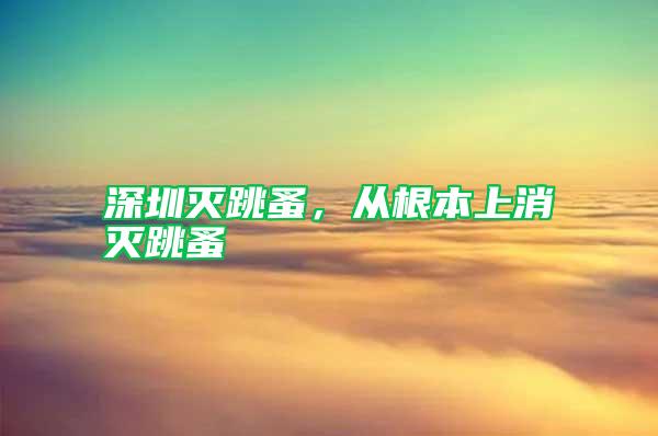 深圳滅跳蚤，從根本上消滅跳蚤