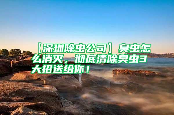【深圳除蟲公司】臭蟲怎么消滅，徹底清除臭蟲3大招送給你！